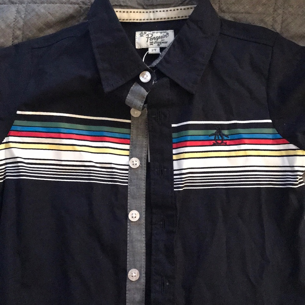Penguin button down shirt. Size 2T